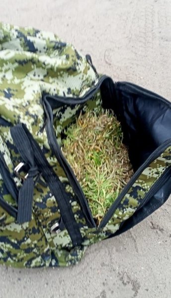 В Первомайском районе участковый уполномоченный полиции задержал подозреваемого в незаконном хранении марихуаны