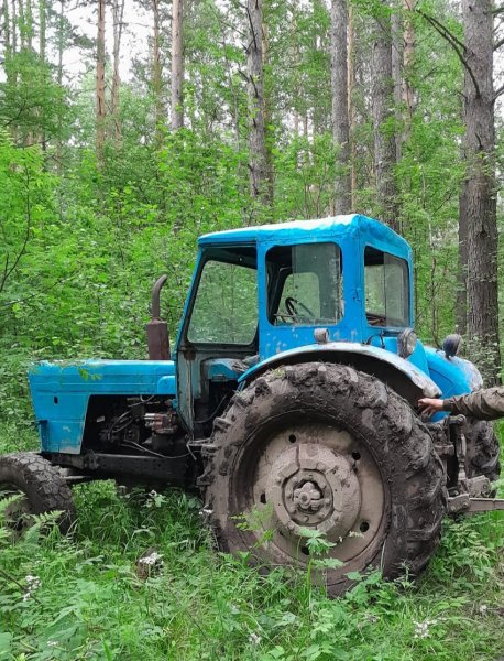 В Первомайском районе полицейские установили подозреваемого в незаконной рубке лесных насаждений
